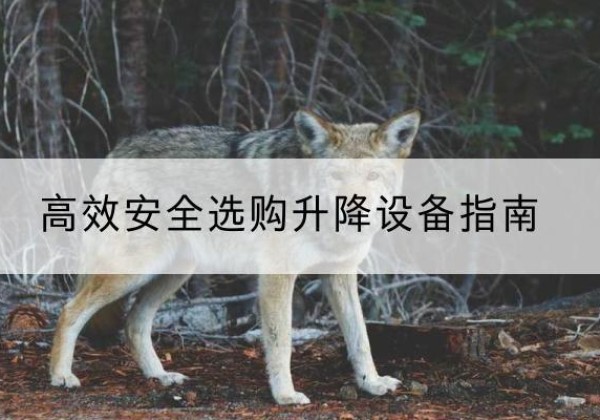 平度升降货梯厂家推荐-*安全选购升降设备指南