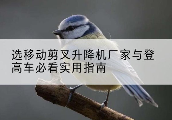 平度电动升降机厂家-选移动剪叉升降机厂家与登高车必看实用指南