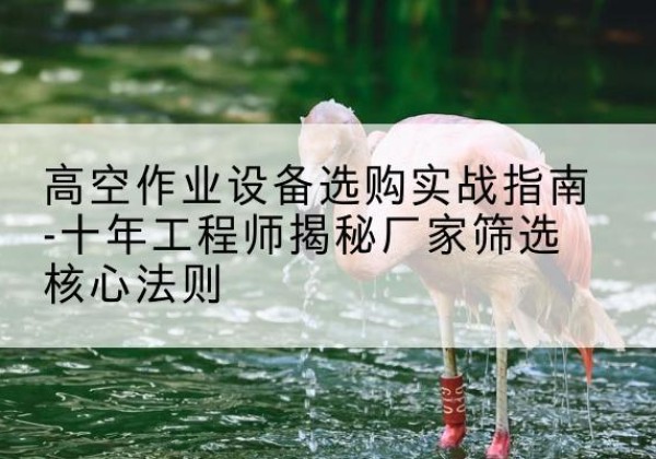 平度剪叉式升降机厂家-高空作业设备选购实战指南-十年工程师揭秘厂家筛选核心法则